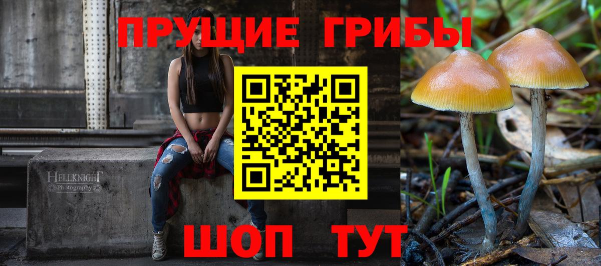 Псилоцибиновые грибы GOLDEN TEACHER  Вход с VPN  Калуга  Псилоцибиновые грибы мухоморы 