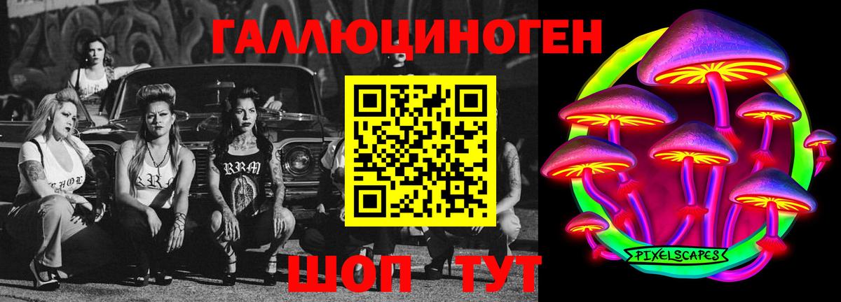 Псилоцибиновые грибы GOLDEN TEACHER Калуга